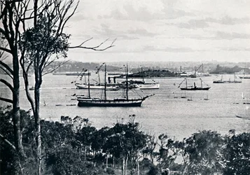 Vue du port de Sydney depuis North Shore, n° 1, vers 1900
