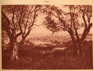 Vue à travers les oliviers vers Antibes, 1930
