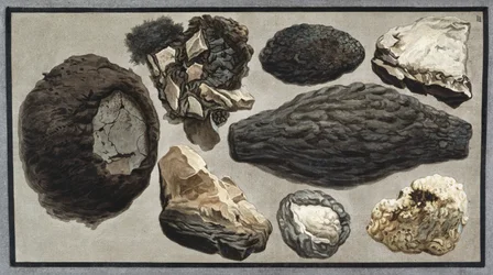 Matériau volcanique du mont Vésuve
