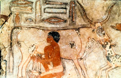 Peinture murale de la tombe de Methethi, Saqqara, Égypte ancienne, Ancien Empire
