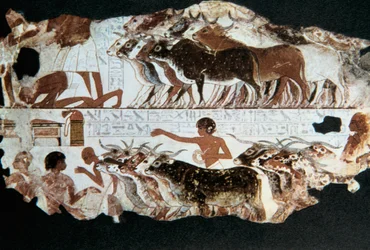 Peinture murale de la tombe de Nebarunun, Thèbes, Égypte