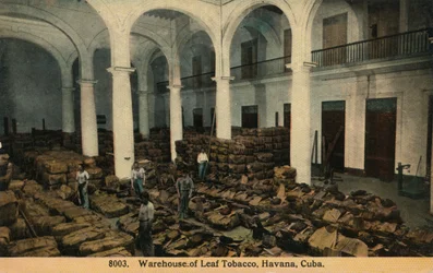 Entrepôt de tabac en feuilles, La Havane, Cuba, vers 1910