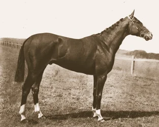 Girouette, 1911