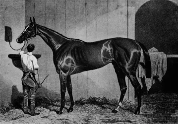 Australien occidental, 1850-1870, 1911