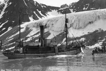 Chasse à la baleine, baie de Magdalene, Spitzberg, Norvège, 1929