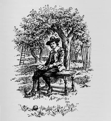 Pourquoi une pomme tombe