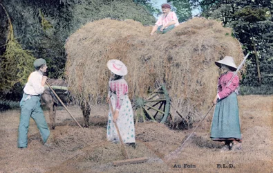 Avec le foin, vers 1900