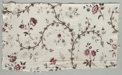 Fragment de coton imprimé sur bois, 1785