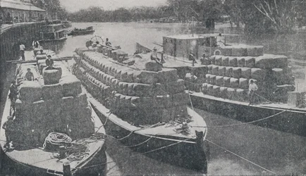 Barges de laine sur la rivière Murray, 1923