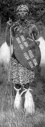 Chef zoulou, 1926