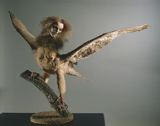 Une Harpie
