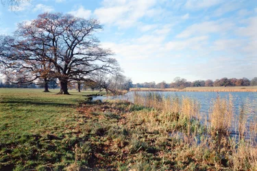 Vue du lac, Corsham Court, Wiltshire
