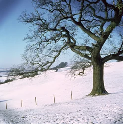 Paysage d