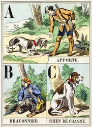 A B C : Apporte, Braconnier, Chien de chasse - L