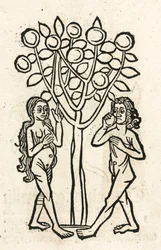 Adam et Ève sous l
