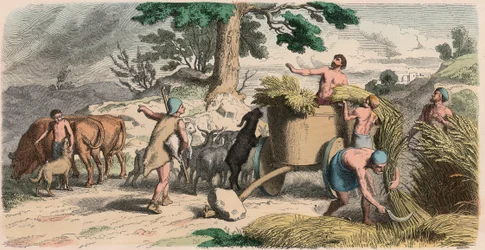 Grèce antique : La vie à la campagne
