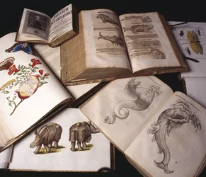 Livres de zoologie ancienne