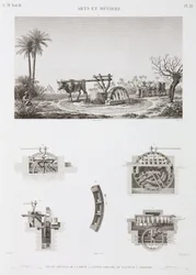 Irrigation par la force animale, Égypte, vers 1798