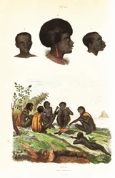 Aborigènes australiens et têtes de natifs de Waigeo, Papouasie occidentale. 1834-1839 (gravure)