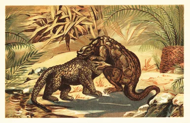 Bataille entre un Megalosaurus bucklandii et un Iguanodon bernissartensis