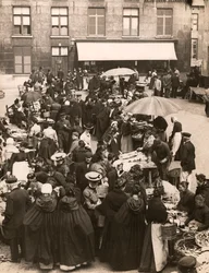 Marché aux poissons belge