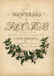 Page de titre calligraphique avec vignette botanique