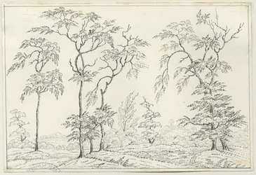Cannock Chase: dessin à la plume et au crayon, nd [?19ème siècle]