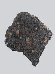 Chondrite carbonée (CBA). Tombée à Gujba (Nigeria) en 1984. Muséum national d