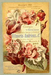 Catalogue de graines