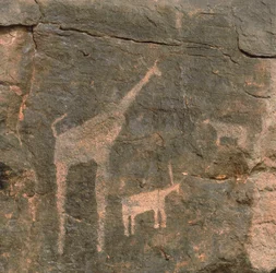 Gros plan sur des peintures préhistoriques, désert du Ténéré, Niger