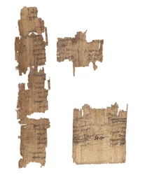 Collection de fragments de papyrus grecs et coptes, 2e au 4e siècle
