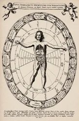 Correspondance entre microcosme et macrocosme. Planche tirée de « Mundus subterraneus » par Athanase Kircher (1601-1680)