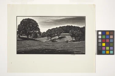 Scène de campagne