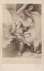 Courtiser