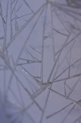 Fissures