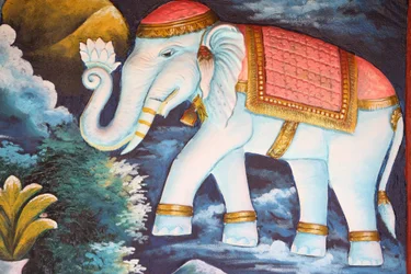 Éléphant dévoué