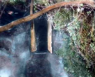 Grotte des chiens près de Naples - les chiens s