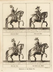 Exercice du cheval