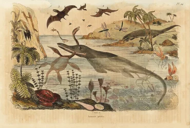 Dinosaures éteints, ichthyosaure, plésiosaure, animaux marins, ptérodactyles, lézards, tortues, insectes, poissons, calmars, mollusques, etc.