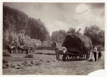 Scènes agricoles, récolte et stockage, avant 1900 Fenaison, vers 1890