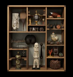 Le Cabinet de Curiosités de Finch et Co