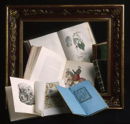 Cadre en bois laqué couleur bordeaux et décorations avec motifs en relief dorés, fin du XIXe siècle. Divers livres ouverts : atlas anatomique avec planches coloriées à la main
