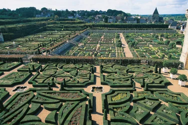 France, Centre, Vallée de la Loire, Jardins du Château de Villandry, jardins
