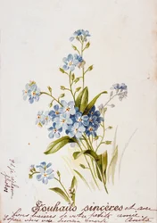 Carte d