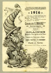 Graines