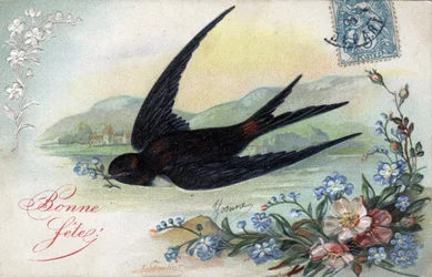 Carte de vœux d
