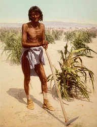 Homme Hopi avec une houe, Arizona