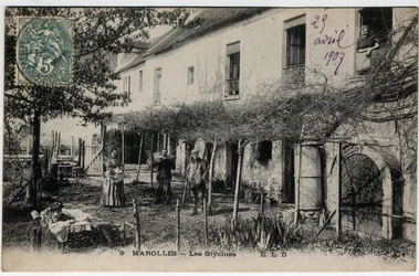 Île-de-France, Val-de-Marne (94), Marolles-en-Brie : Les Glycines - Carte postale datée de 1907