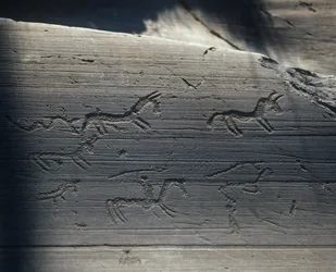 Italie, Lombardie, vallée de Camonica, pétroglyphes sur roche