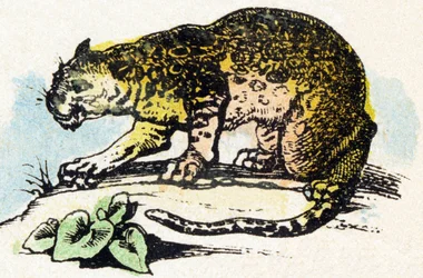 J - Jaguar - Alphabet - divertissement pour enfants - Image épinal, série populaire c.1890